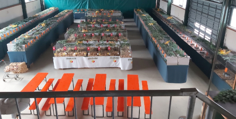 Ausstellung_2024_Aufbau