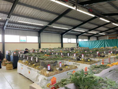 Ausstellung